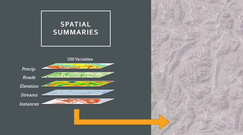 Spatial variables