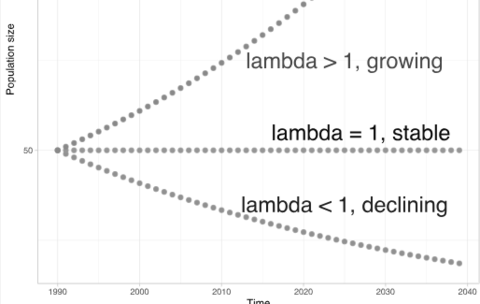 Lambda Values