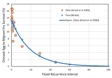 Relationship between Chinook egg-to-fry survival and flood recurrence interval in the Skagit River basin from Kinsel et al. (2007). The predicted survival rates (blue dots) are derived from the fitted exponential curve (blue line). Flood recurrence interval on the X-axis is for the Skagit River gauge at Mount Vernon