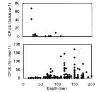 Relationship between water depth (cm) and CPUE of YOY (top) and adult (bottom) Salish Sucker (Pearson, 2004)