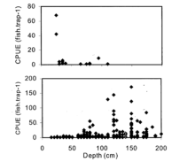 Relationship between water depth (cm) and CPUE of YOY (top) and adult (bottom) Salish Sucker (Pearson, 2004)