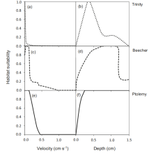 Reference curve